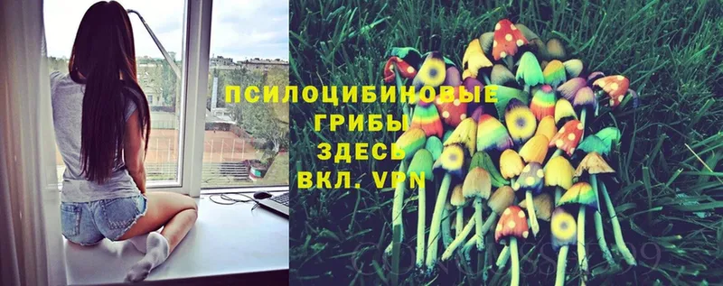 наркотики  Алзамай  Псилоцибиновые грибы MAGIC MUSHROOMS 